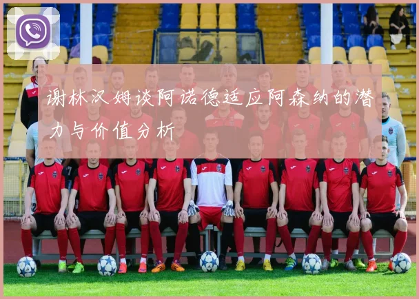 谢林汉姆谈阿诺德适应阿森纳的潜力与价值分析