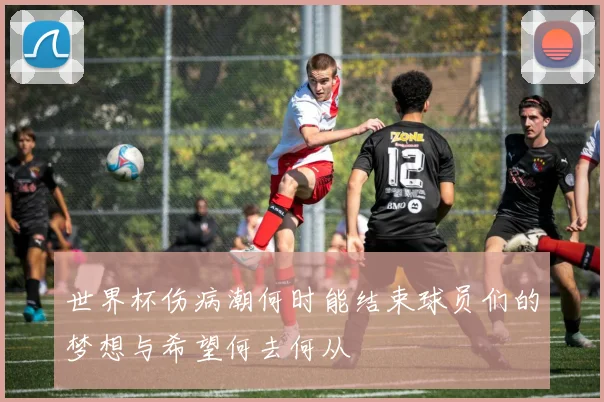 世界杯伤病潮何时能结束球员们的梦想与希望何去何从