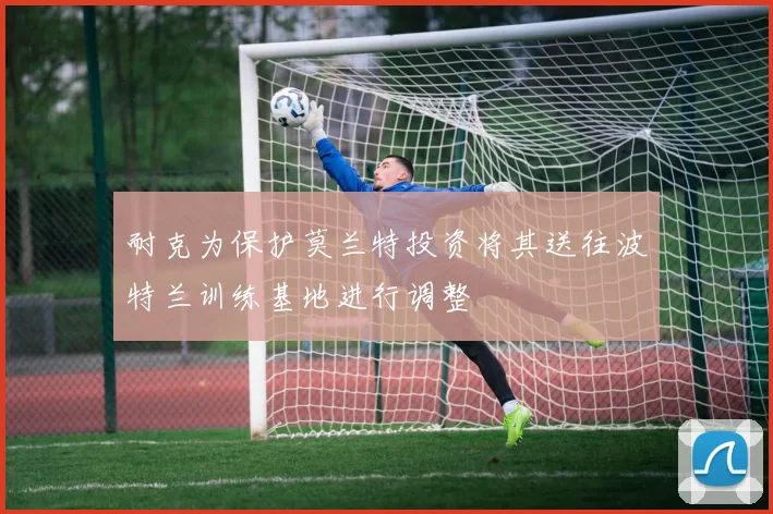 耐克为保护莫兰特投资将其送往波特兰训练基地进行调整